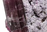 Rubellite Tourmaline with Lepidolite - Cruzeiro Murta, Brazil #217171-1